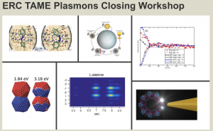 ERC TAME Plasmons Closing Workshop